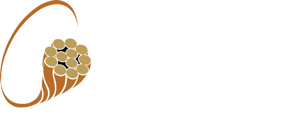 Town & Country Group Logo