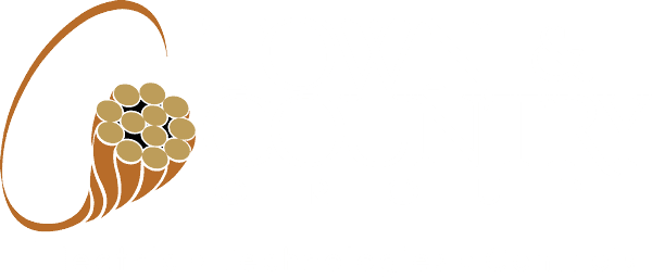 Town & Country Group Logo